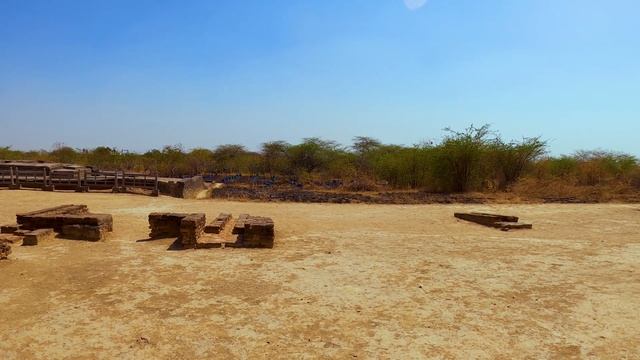 Lothal : Port of Harappan Civilization | Lothal Gujarat History| How to Reach Lothal from Ahmedabad смотреть онлайн