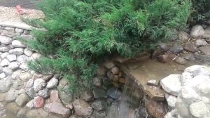 Альпийская горка водоем водопад пруд Ландшафтный дизайн
