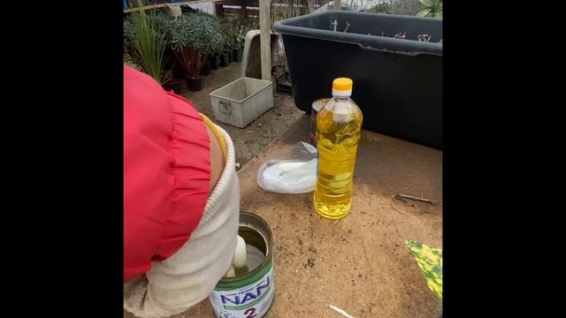 Грибной рейд