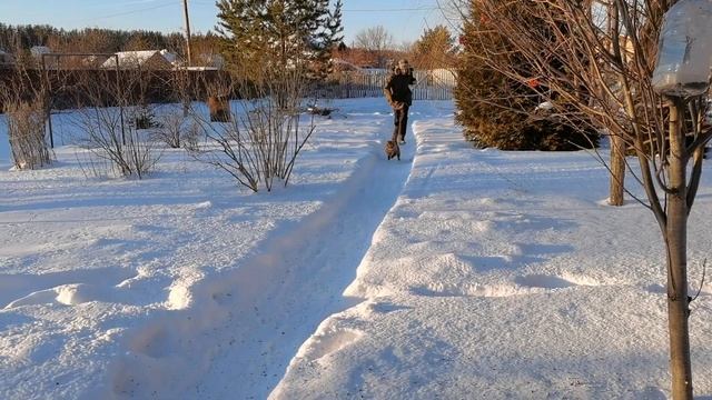Потап бежит по снегу смотреть онлайн