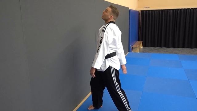 Taekwondo - Spinning Hook Kick Tutorial (Capoeira Style) смотреть онлайн