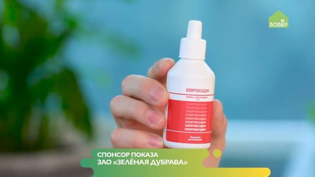 Антибактериальный ополаскиватель для рта с хлоргексидином Зеленая дубрава смотреть онлайн