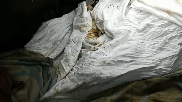 Mercedes Sprinter сломался болт крепления форсунки высверливание с сохранением родной резьбы смотреть онлайн