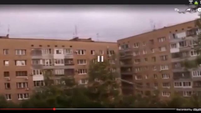 Палочник в Москве! смотреть онлайн