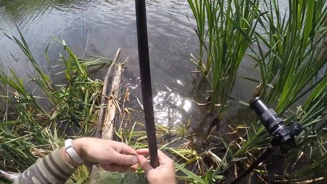 МАХОВОЕ УДИЛИЩЕ НА ПОПЛАВОК! ЖОРМАХОВОЕ УДИЛИЩЕ НА ПОПЛАВОК! ЖОР смотреть онлайн