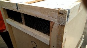 Карпатка. Покупка пчелопакетов. Пчеловодство.Нефтекамск.