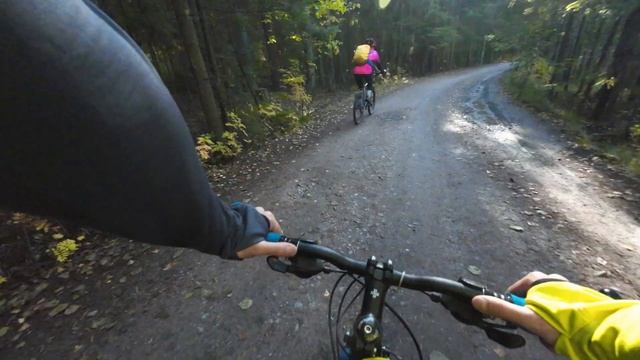 Веломаршрут Зеленогорск - оз.Щучье - Сестрорецк смотреть онлайн