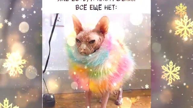 С 1 января! Ура Новый год наступил! / З 1 січня! З Новым роком! / Happy New Year! From January 1st! смотреть онлайн
