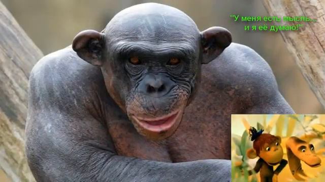 Фильм 5 й Замысловатости FFI и Аргументы и Факты Enviro Tabs смотреть онлайн