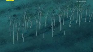 Приключения котигорошка и его друзей