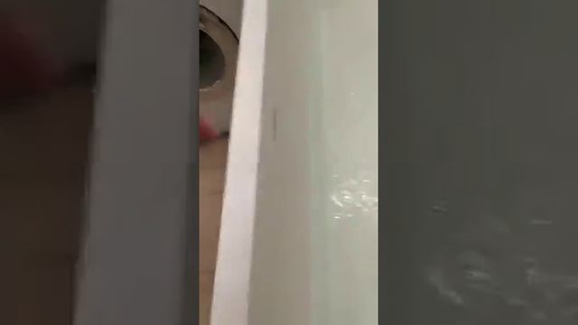 Симметричная ванна на заказ смотреть онлайн