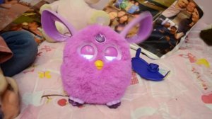 Furby connect!Покупка нового фербика!