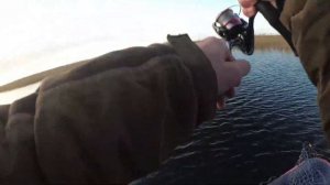 Щука. Рыбалка в Креницах. Ладога