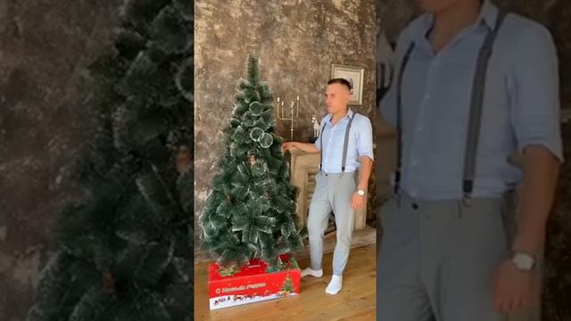 Сосна пушистая с инеем и шишками смотреть онлайн