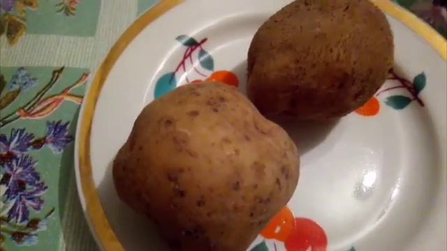 Сортовой семенной картофель смотреть онлайн