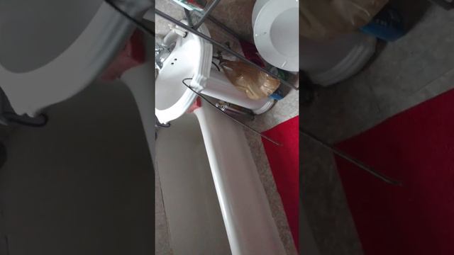 Монстр в раковине смотреть онлайн