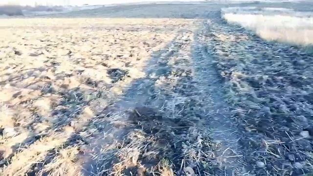 Копнул 3 часа смотреть онлайн