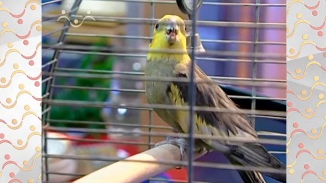 АЗН Физика Атмосферное давление Опыт Торричелли смотреть онлайн