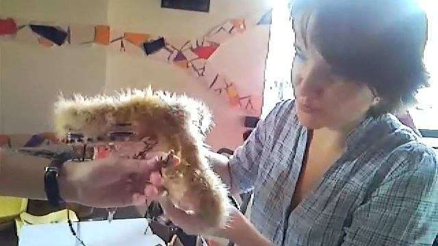 Бубен в помощь! :) смотреть онлайн