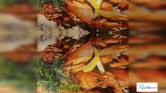 Зона отдыха Столичные раки в Нур-Султане смотреть онлайн