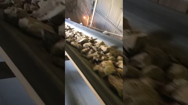 Добыча щебня в Волгограде и Волгоградской области смотреть онлайн