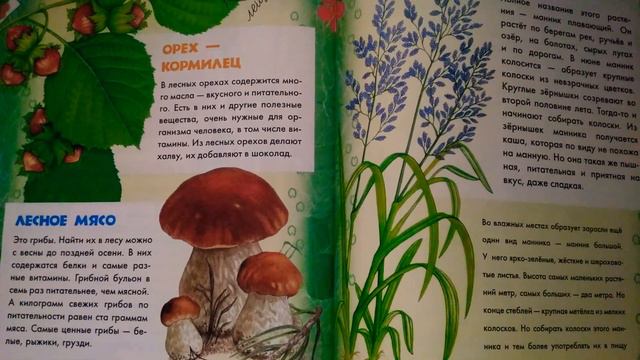 Полезные растения(#2).