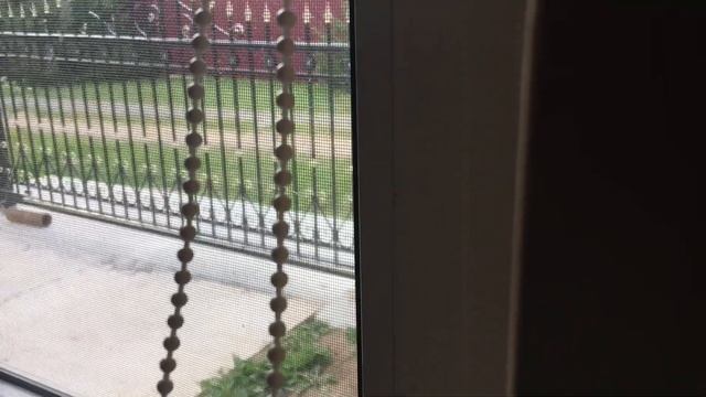 №977 ВОСКРЕСЕНЬЕ на ДАЧЕ ? Заказали продукты в САМОКАТЕ и получили ИГРУШКУ за 1руб ? Странная ДЫНЯ смотреть онлайн