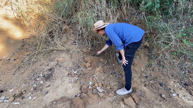 Странности роющих змеек смотреть онлайн