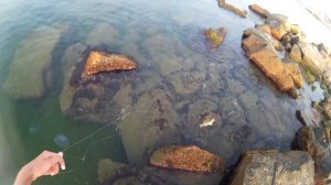 Как поймать бычка на море.Ловля бычка на Черном море с берега поплавочной удочкой.