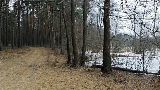 разлив на реке Свень смотреть онлайн