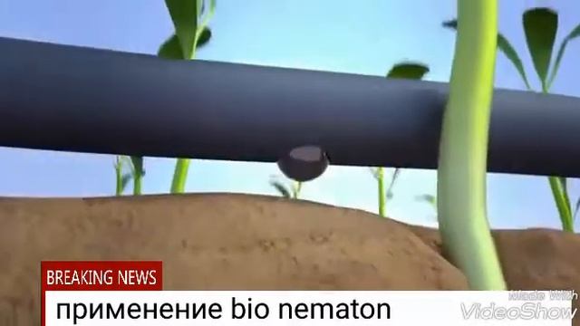 Очень полезное лекарство для теплиц. смотреть онлайн