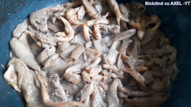 [Axel Cooking] Ciuperci Pleurotus la tigaie - ASMR смотреть онлайн