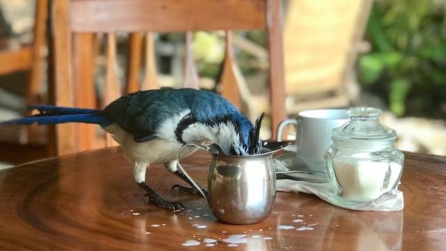 What Do Dreams About Money Mean? - Money Dreams Meanings And Interpretation - Dream Meaning