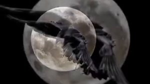 Бумер.   Потерянный край