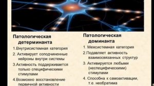 патофизиология 16 нервная система