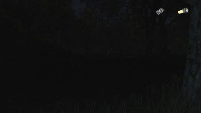 The Secret Of Pineview Forest - Жуткий лес... смотреть онлайн