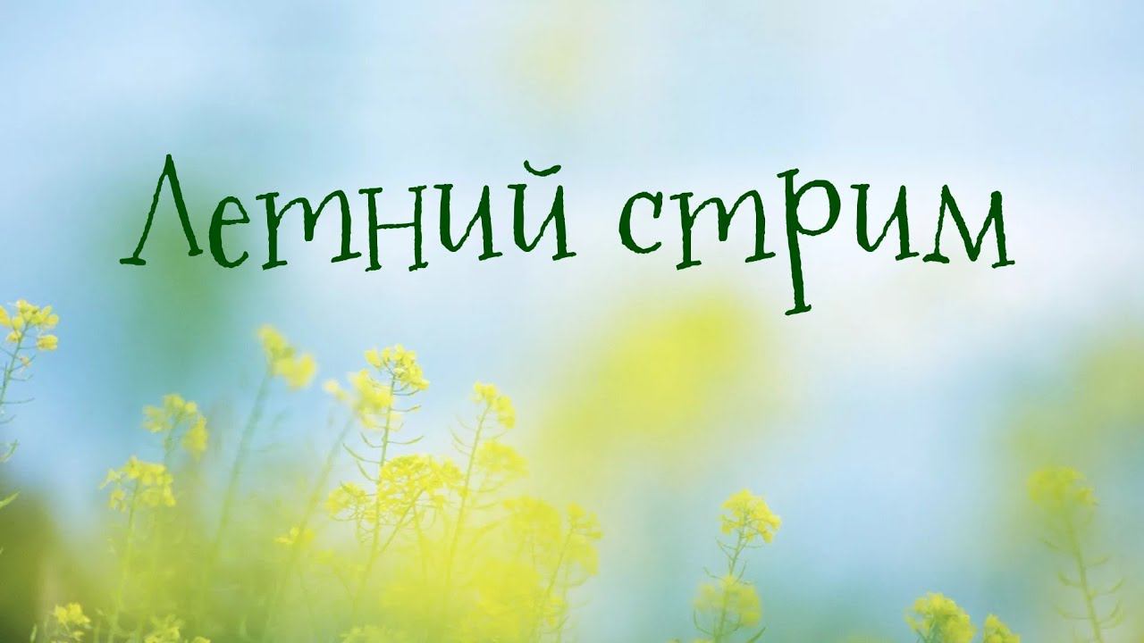 Летний Стрим, попытка #2 смотреть онлайн