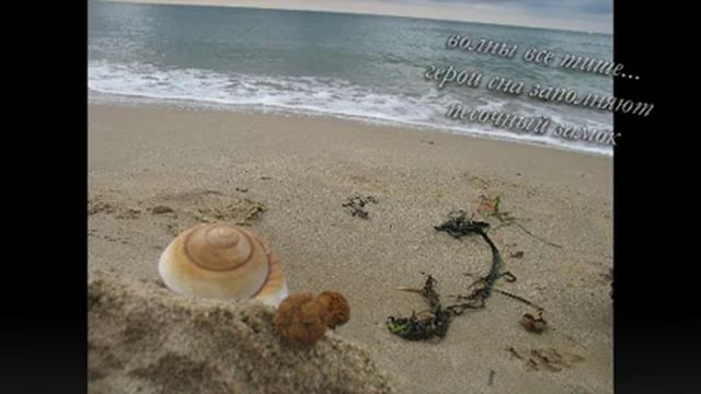 цикл фото + хайку "Пляж рано утром" смотреть онлайн