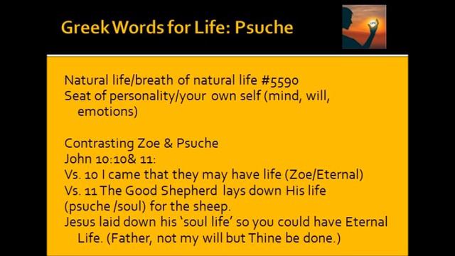 "Eternal Life The Present Possession of the Believer" #2 Four Greek Words for 'life' смотреть онлайн