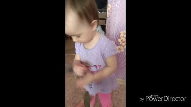 Танец под сигнализацию. Ой. Что это? смотреть онлайн