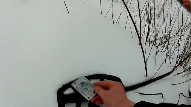 Интересный тест с Minelab Vanquish440.