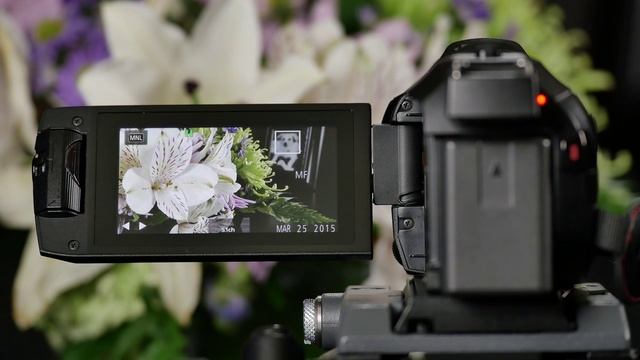 Panasonic Camcorder - Using Manual Controls смотреть онлайн