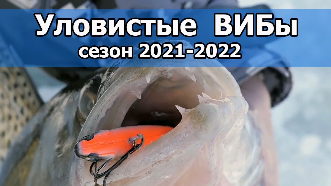 ТОП бюджетных ВИБов (раттлинов) на судака _ Поимка крупных судаков на ВИБ смотреть онлайн