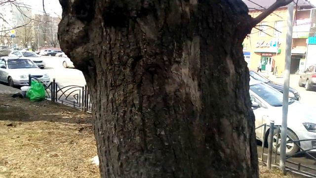 Алкашка Подмосковье, такой же они я еще не видел.... смотреть онлайн
