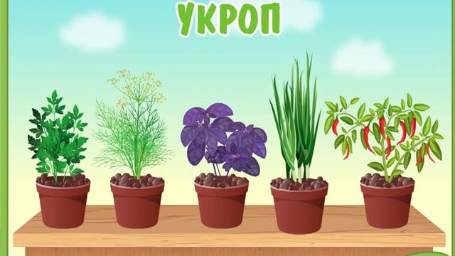 Изучаем растения Огород на подоконнике Познавательный мультик игра смотреть онлайн