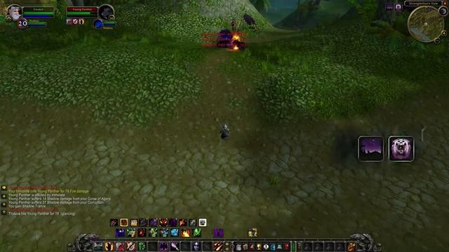 Warlock Leveling Guide! How To Level Like a BEAST In Classic WoW!! смотреть онлайн