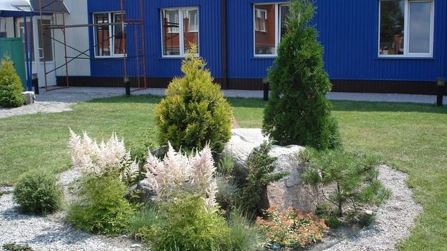 ТПХ Анастасия: плодовые и декоративные растения, комнатные и многолетние цветы в Калининграде смотреть онлайн