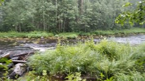 Туда, где живет хариус. На велосипедах. На рыбалку. Пудож. Глухие места. Дичь :) КАРЕЛИЯ