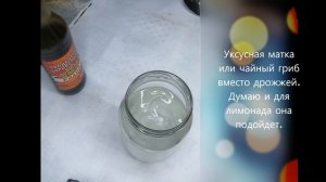 Готовим квас, уксусная матка вместо дрожжей. #квас #tea_mushroom