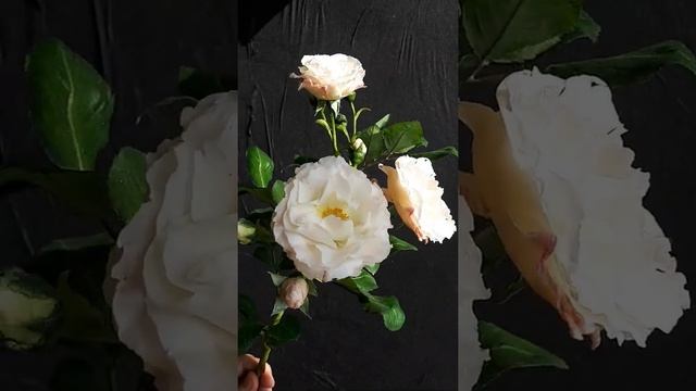 Ветка дикой розы из холодного фарфора смотреть онлайн